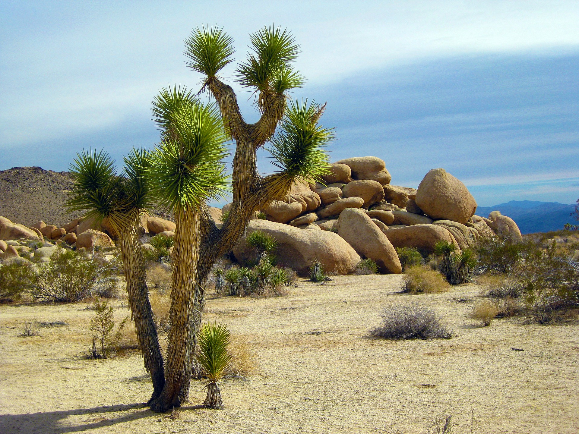 Enjoy hiking and more this Palm Springs winter