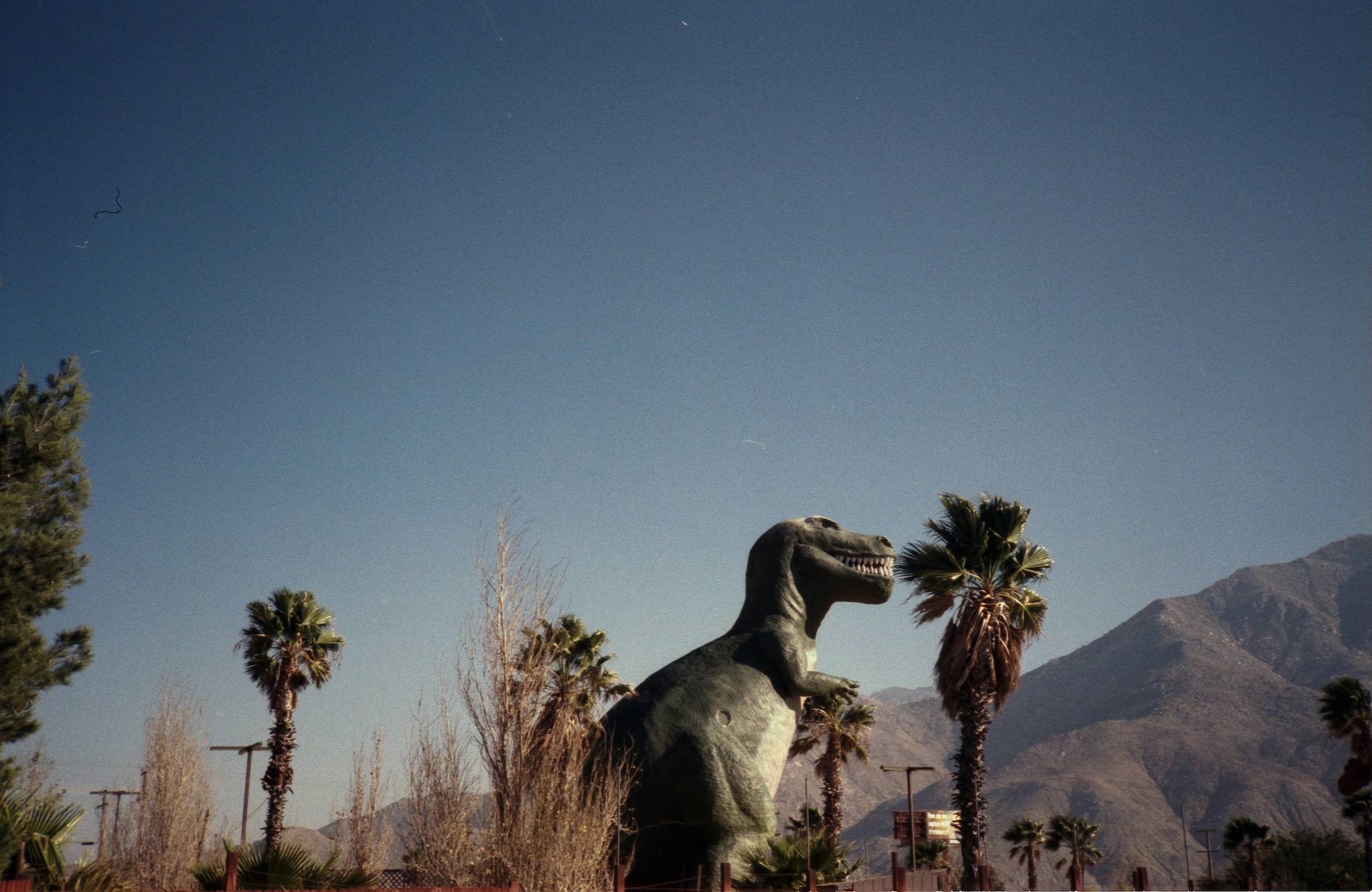 Cabazon Dinosaurs