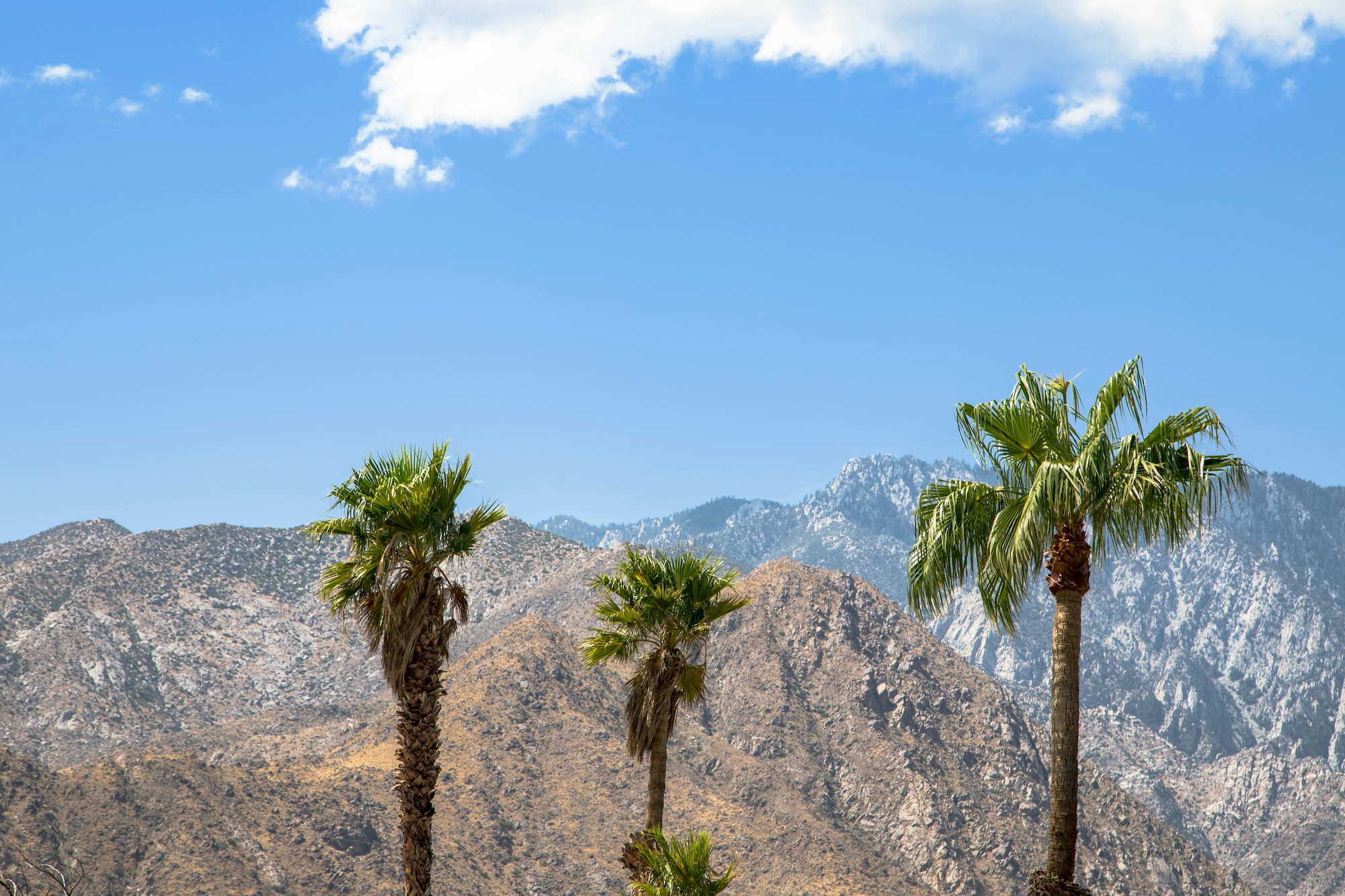 Labor Day weekend in Palm Springs