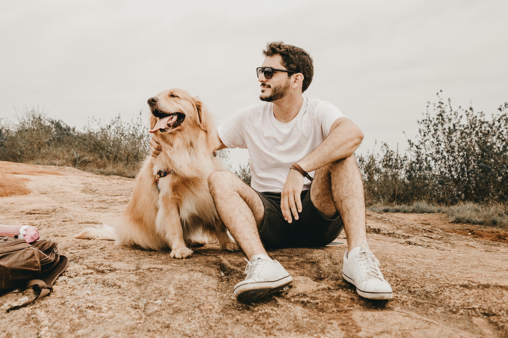 Dog Friendly Palm Springs
