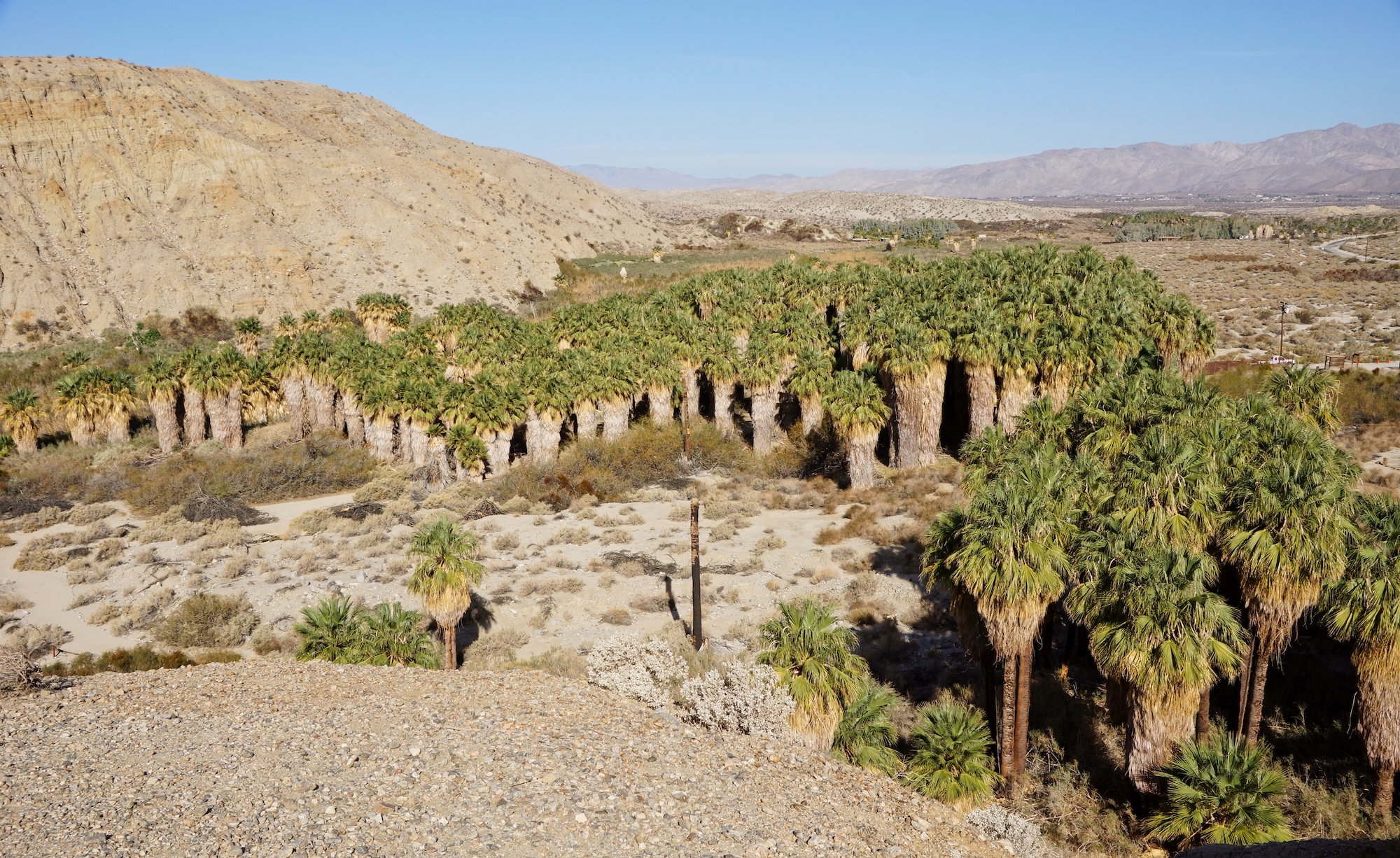 Coachella Valley Preserve